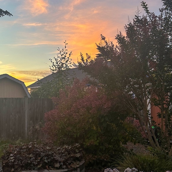 meet the posher - phoebe rainier π€ππ―οΈπΉβ¨βοΈ - Picture 8 of 16